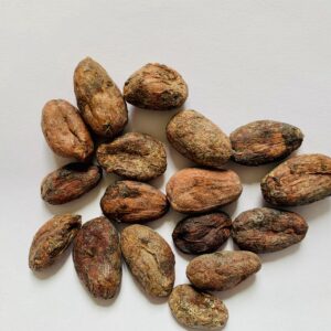 Fèves de cacao de Sambirano non torréffiées (par 65kg)